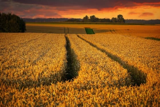 FARMERS IN A FULL-BLOWN CRISIS 😱! MASSIVE Losses & 👩‍🌾 No One Wants Our Produce... Time for a CHANGE?