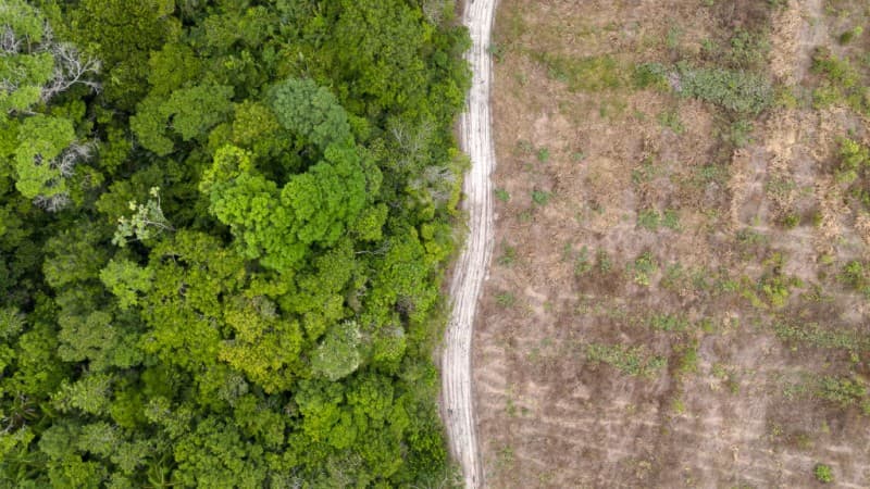 GLOBALIST HYPOCRITES STRIP AMAZON FOR HIGHWAY TO CLIMATE SUMMIT... 🤬 (CAN YOU BELIEVE THIS?)