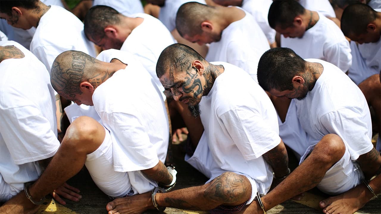 SANCTUARY POLICIES FUELING LATIN AMERICAN GANGS in AMERICA? 🚨 (Listen up, Americans!)