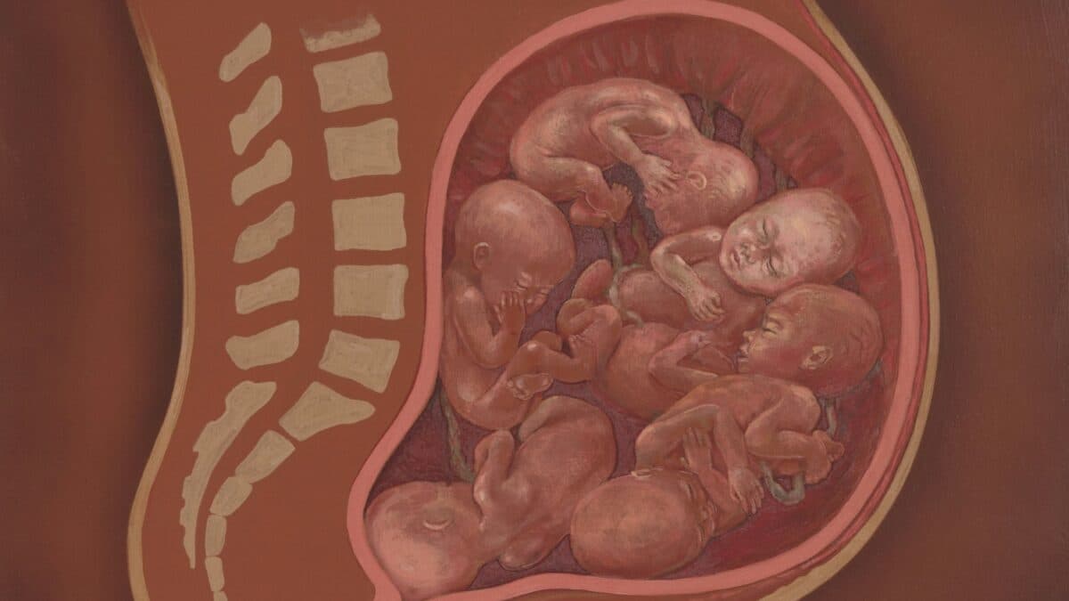My Stepsister Ran A Surrogacy Racketeering Ring — And Just Got Two Years In Prison