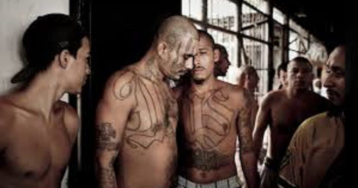⚠️ VIRGINIA PRISON CHAOS: 3 CORRECTIONS OFFICERS STABBED by 5 MS-13 Gangsters... WHAT’S GOING ON?!