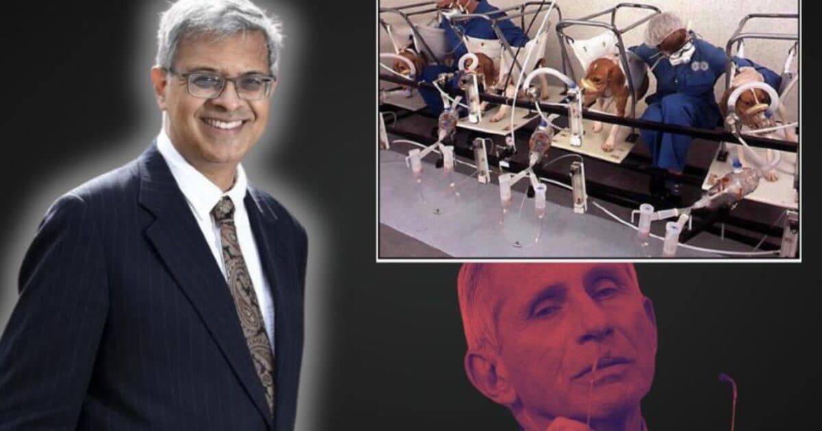 SENATE CONFIRMS JAY BHATTACHARYA... FINALLY ENDING FAUCI'S CRUEL TESTING NIGHTMARE! 🚫😷 (Time for Accountability!)