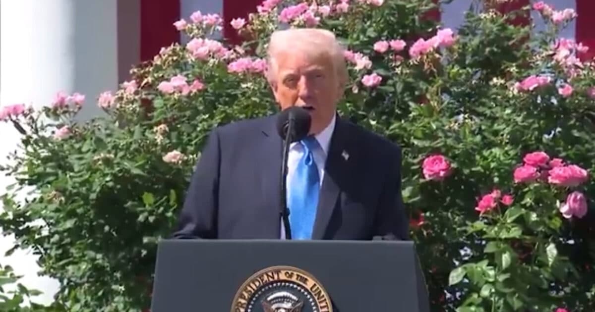 🚨 MUST WATCH: Trump Just SIGNED the Take it Down Act... AI P0RN CRACKDOWN in ACTION! 🔥