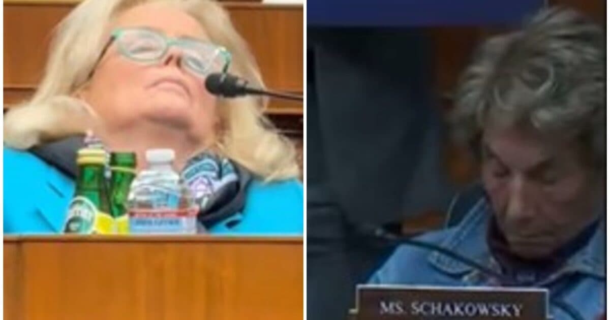 🤭 NAPTIME NATION: 2 Democrats Totally ZONKED During Committee Hearings... What Were They Dreaming? 🌙
