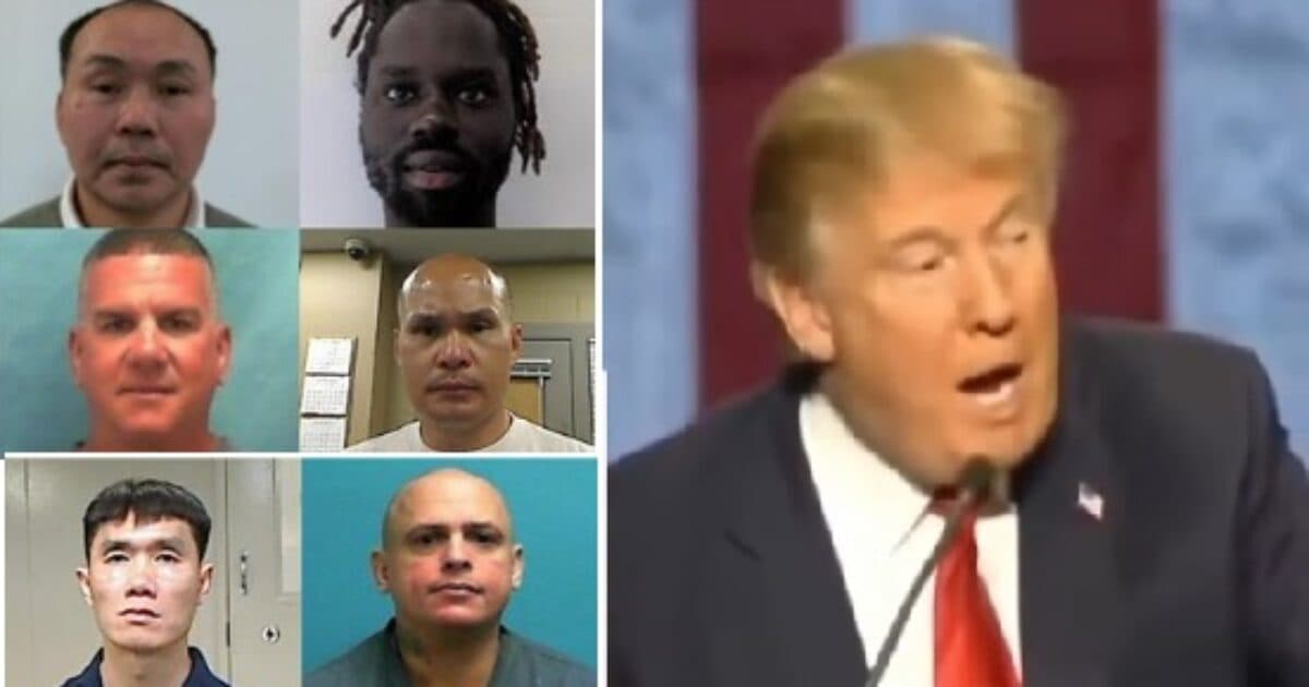 🚨 TRUMP'S DHS DROPS WILD VID... ✈️ SAYING \"Buh-Bye!\" to DANGEROUS Illegal Aliens!